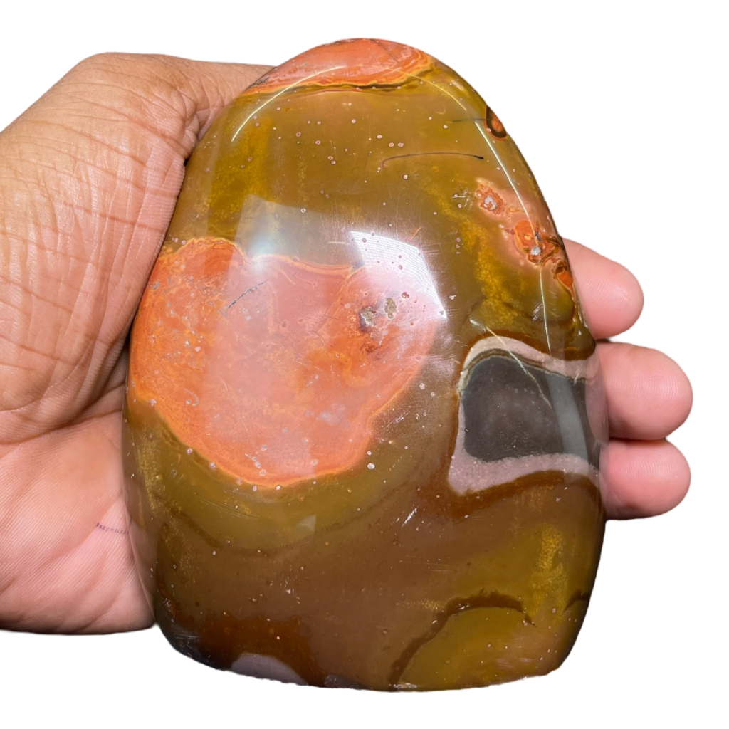 Polychrome Jasper