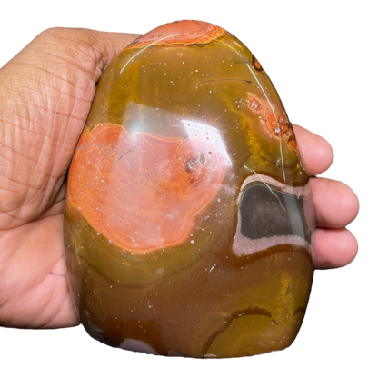 Polychrome Jasper