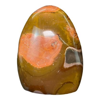 Polychrome Jasper