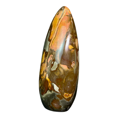 Polychrome Jasper