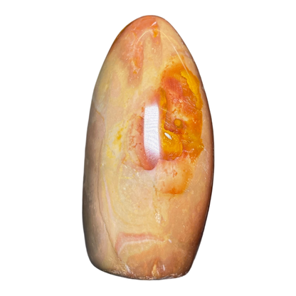 Polychrome Jasper