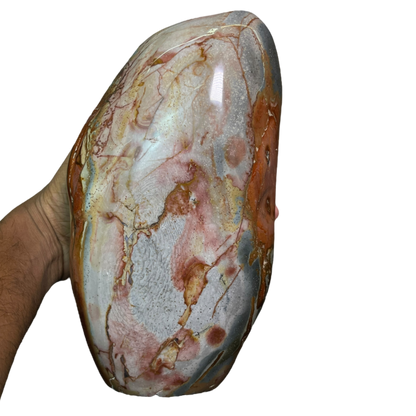 Polychrome Jasper
