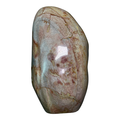 Polychrome Jasper
