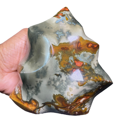 Polychrome Jasper Fame