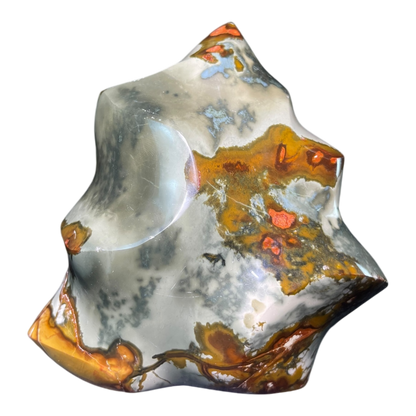 Polychrome Jasper Fame