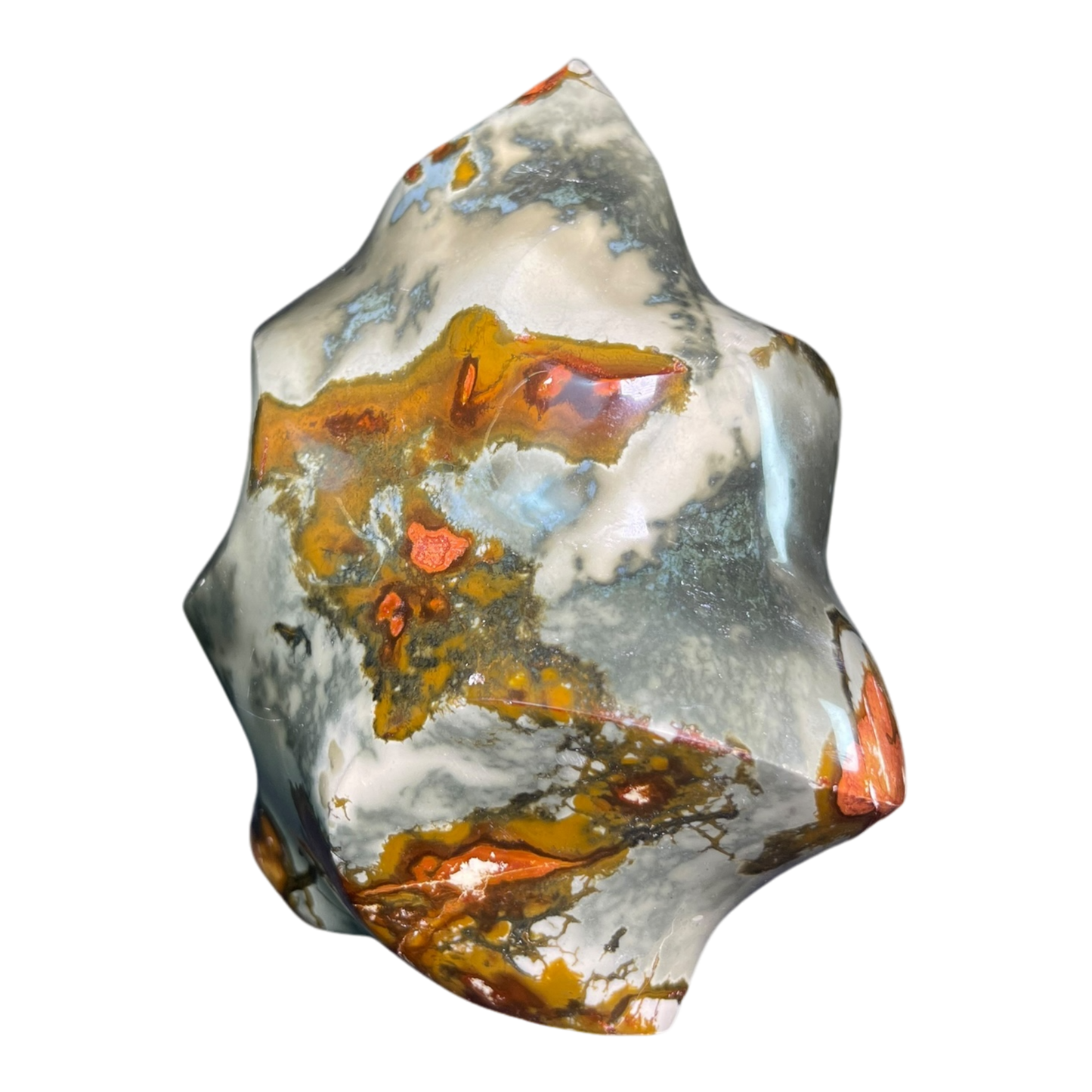 Polychrome Jasper Fame