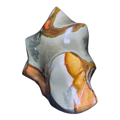 Polychrome Jasper Fame