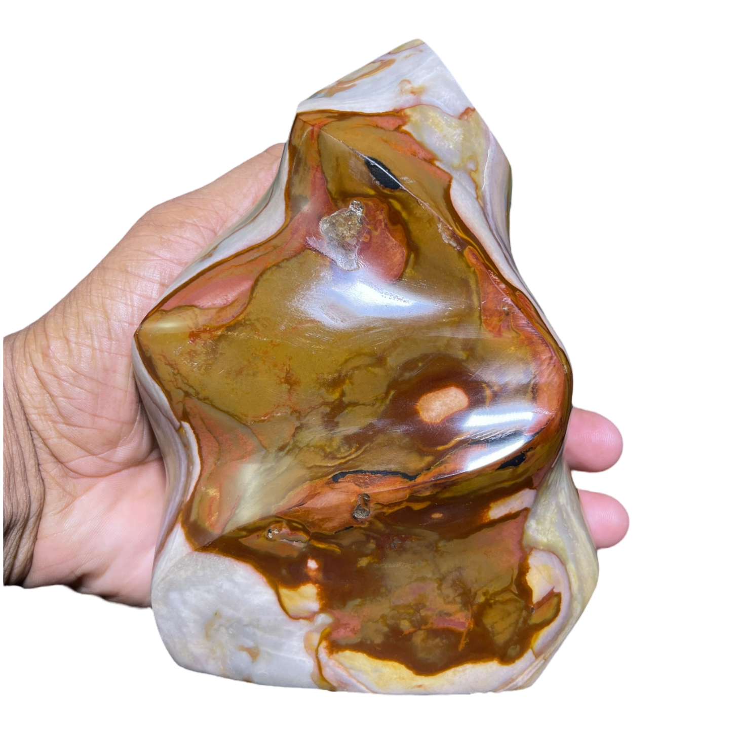 Polychrome Jasper Fame