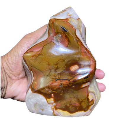 Polychrome Jasper Fame