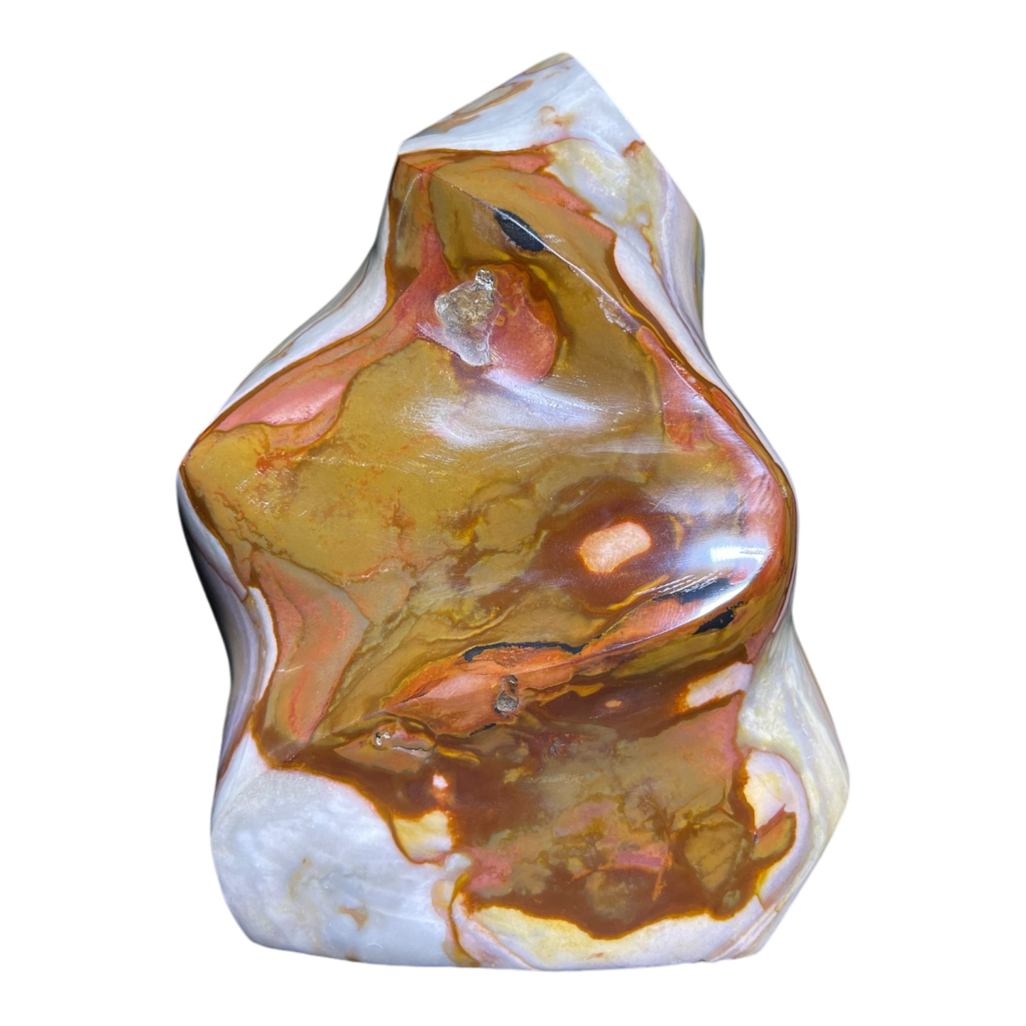 Polychrome Jasper Fame