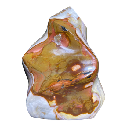 Polychrome Jasper Fame