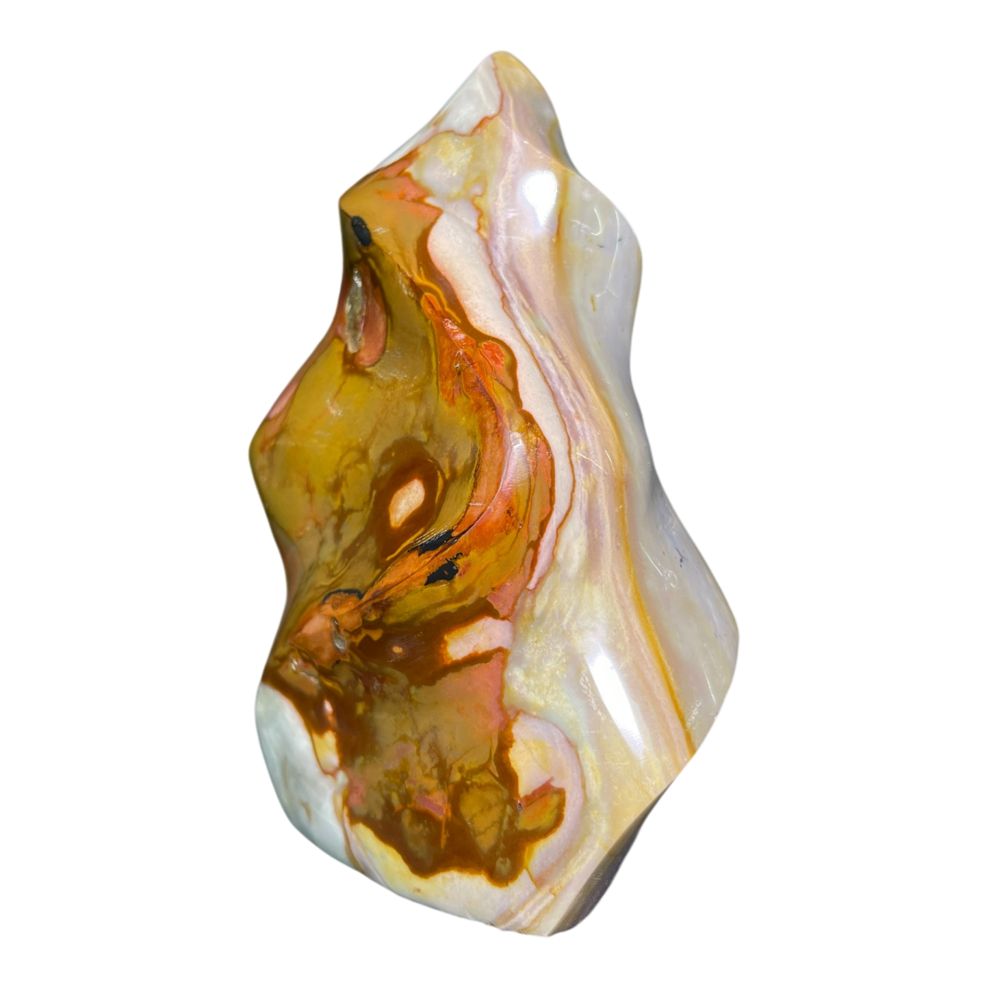 Polychrome Jasper Fame