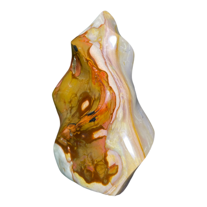 Polychrome Jasper Fame