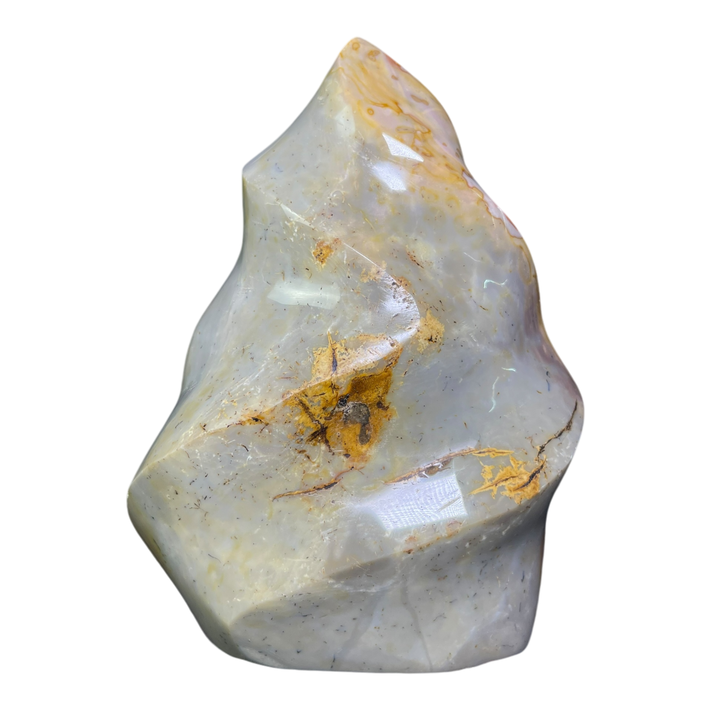 Polychrome Jasper Fame