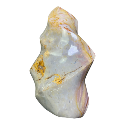 Polychrome Jasper Fame