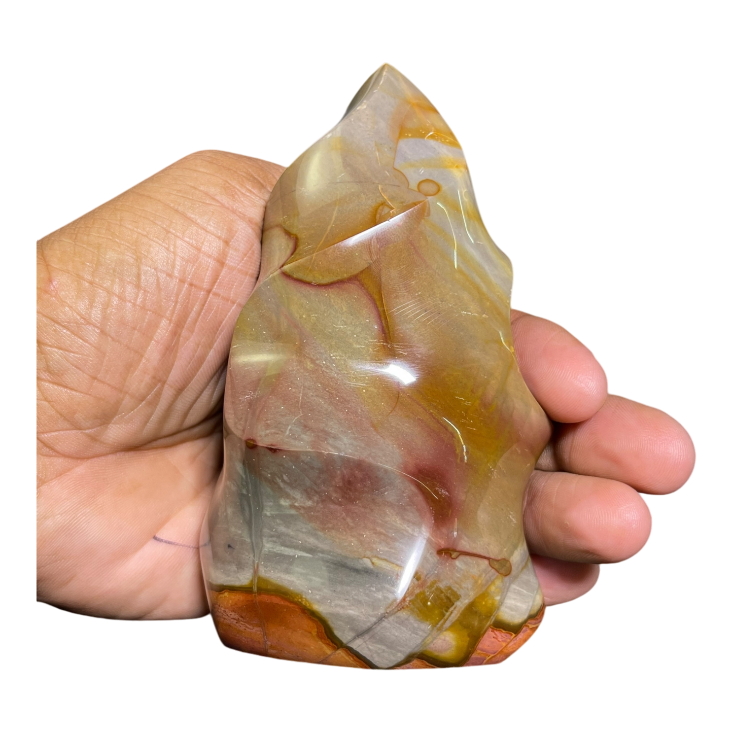 Polychrome Jasper Fame