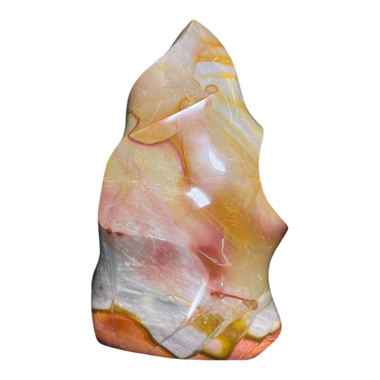 Polychrome Jasper Fame