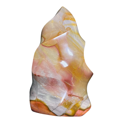 Polychrome Jasper Fame