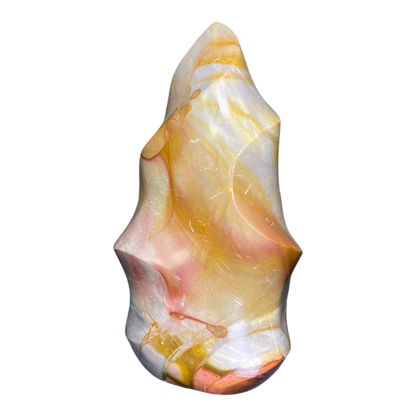 Polychrome Jasper Fame