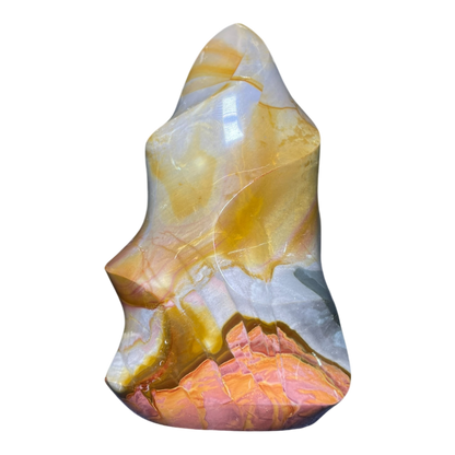 Polychrome Jasper Fame