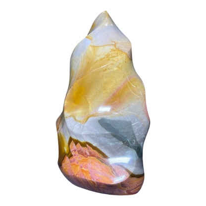 Polychrome Jasper Fame
