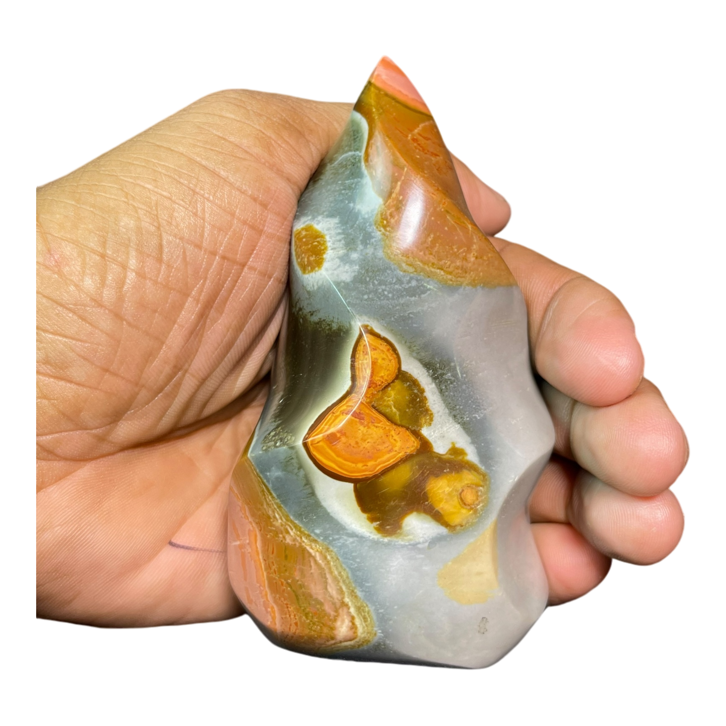 Polychrome Jasper Fame