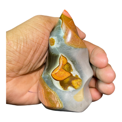 Polychrome Jasper Fame