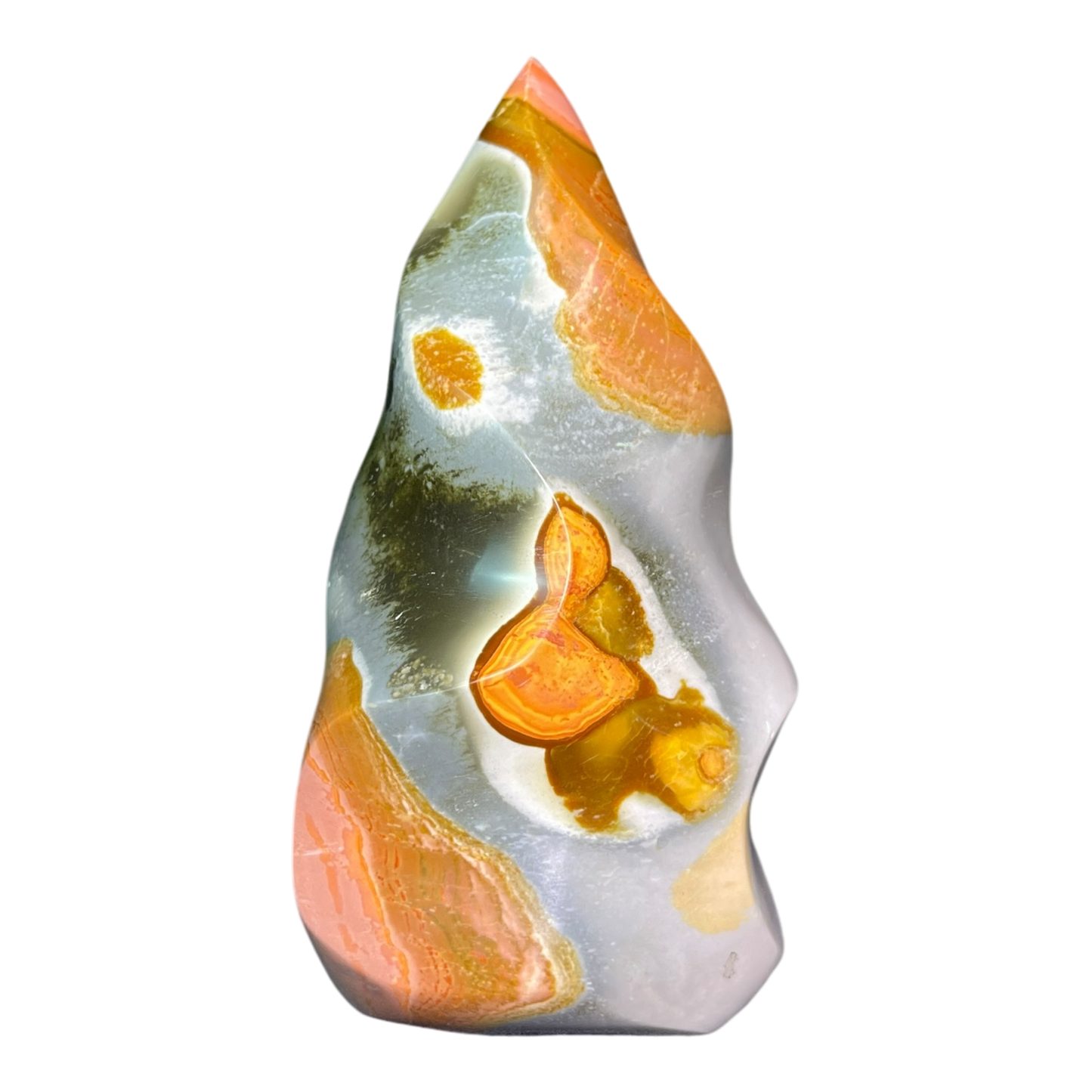 Polychrome Jasper Fame
