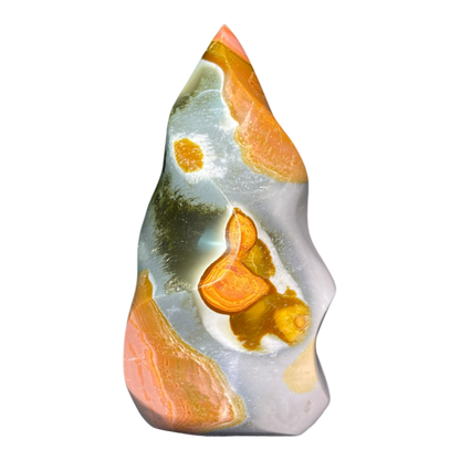 Polychrome Jasper Fame