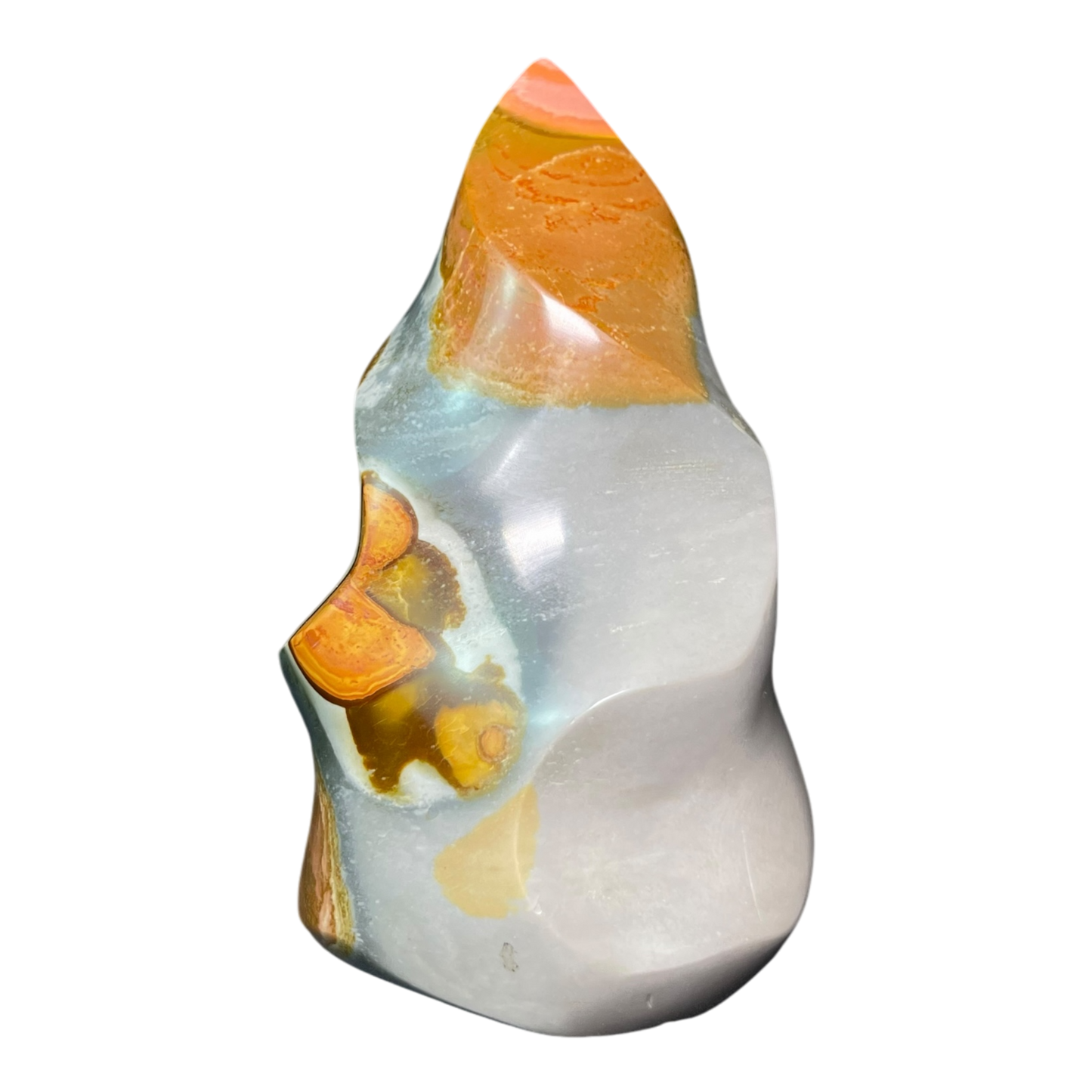 Polychrome Jasper Fame