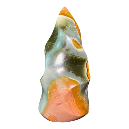 Polychrome Jasper Fame