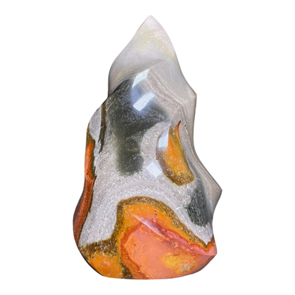 Polychrome Jasper Fame