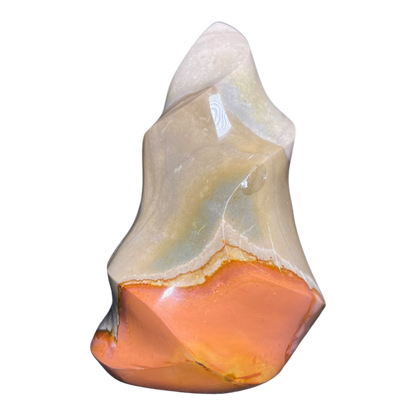 Polychrome Jasper Fame