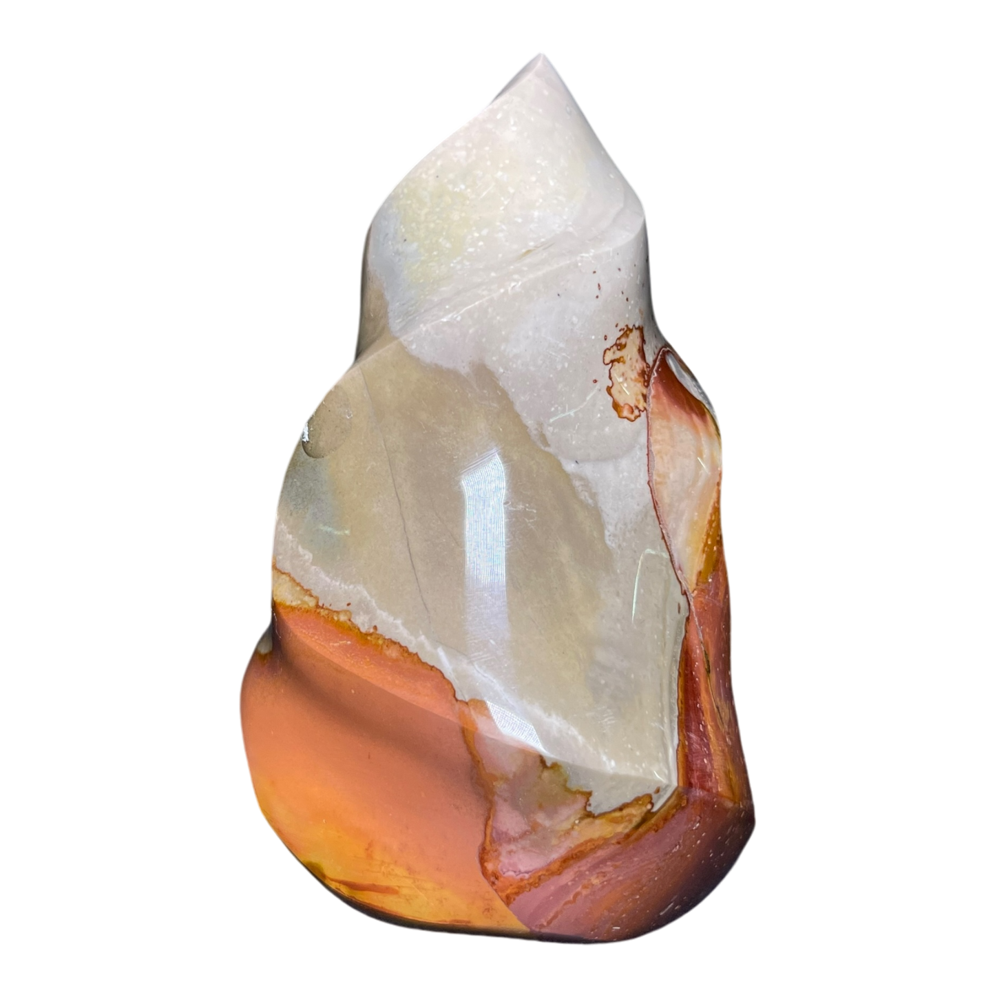 Polychrome Jasper Fame