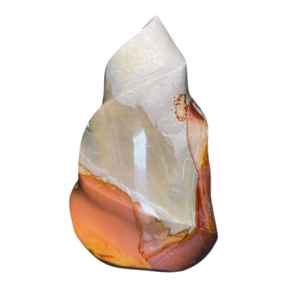 Polychrome Jasper Fame