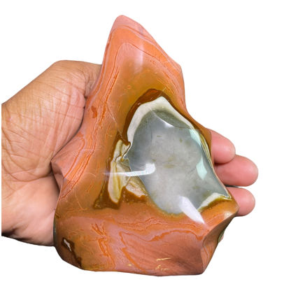 Polychrome Jasper Fame