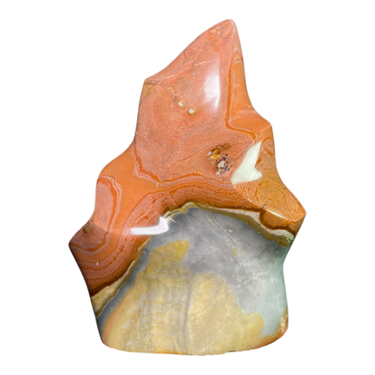 Polychrome Jasper Fame