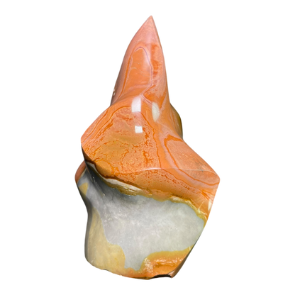 Polychrome Jasper Fame