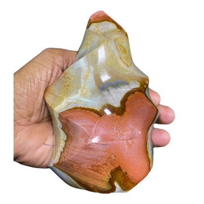 Polychrome Jasper Fame