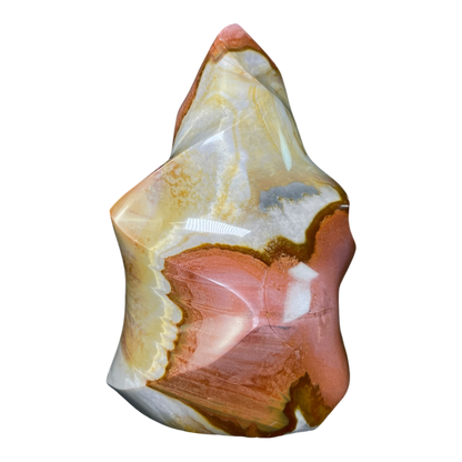 Polychrome Jasper Fame