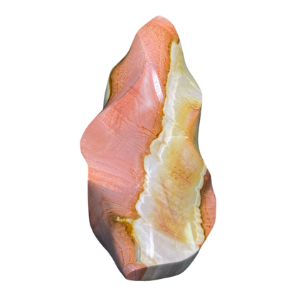 Polychrome Jasper Fame