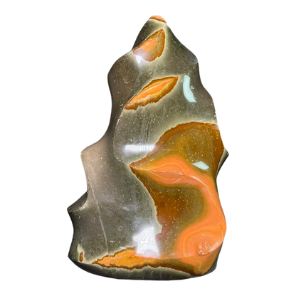 Polychrome Jasper Fame