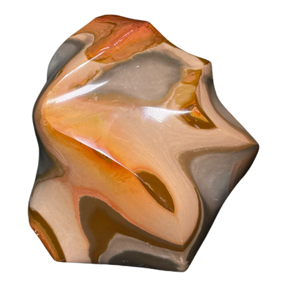 Polychrome Jasper Fame