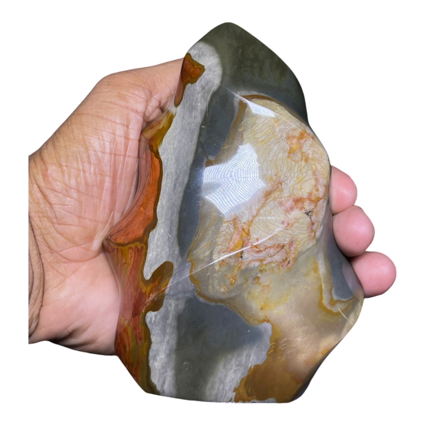 Polychrome Jasper Fame