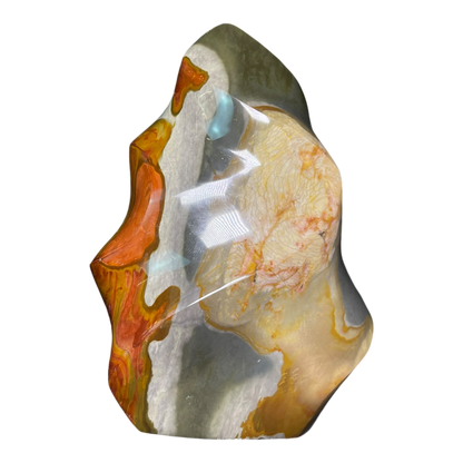 Polychrome Jasper Fame