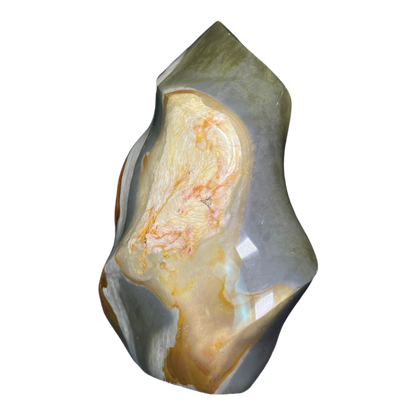 Polychrome Jasper Fame
