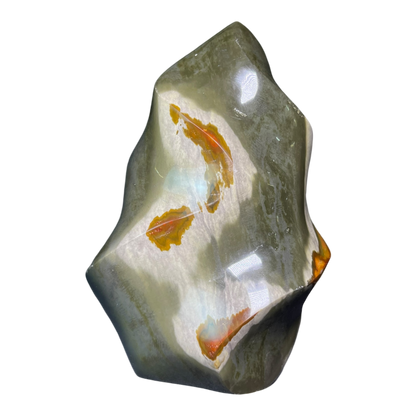 Polychrome Jasper Fame