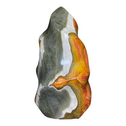 Polychrome Jasper Fame