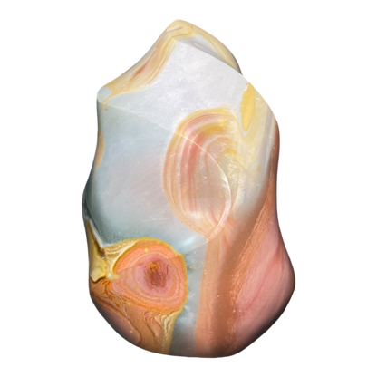 Polychrome Jasper Fame