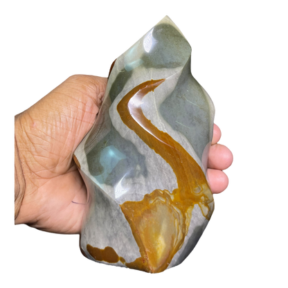 Polychrome Jasper Fame